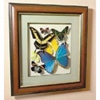Картина-панно Бабочки "Сборка" 93